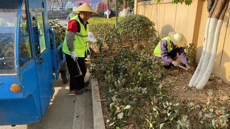 小区道路绿化预算报价明细表：编制要点与解读**