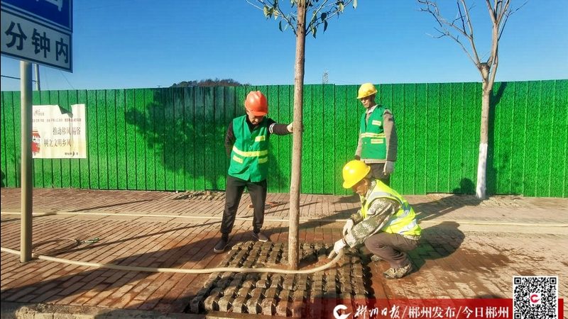 绿化植被成活率低的原因有很多，主要包括以下几个方面：