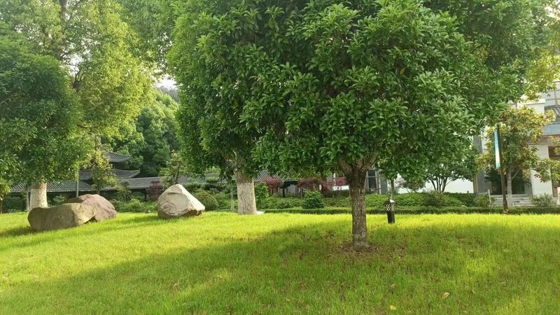 别墅庭院园林公司选哪家？优缺点全面解析**