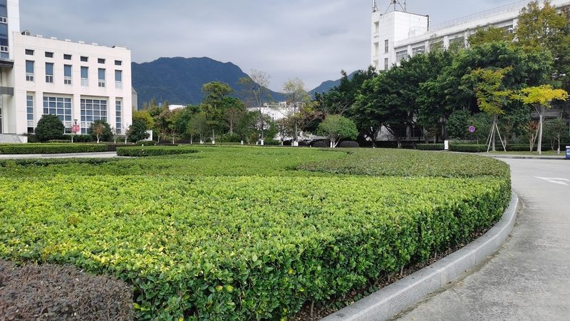 公园绿化工程验收标准全解析