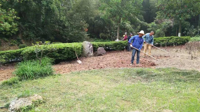 园林绿化验收流程及关键节点把控**