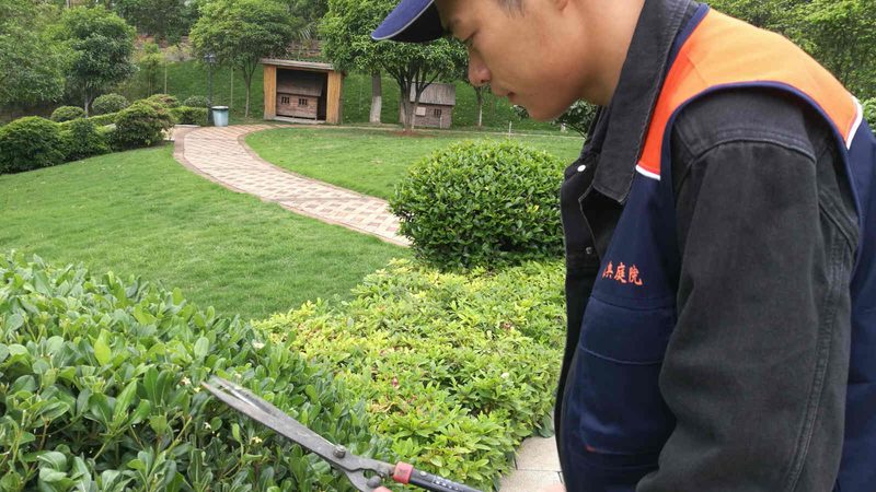 庭院水景防水验收标准全解析