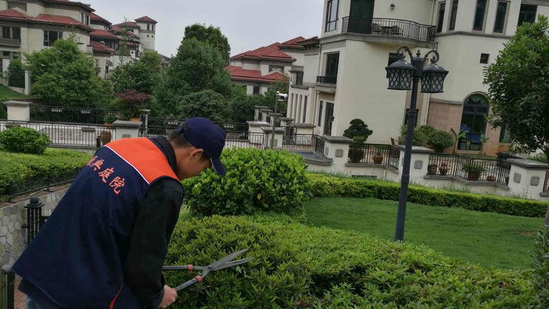 别墅花园植物批发：如何挑选高品质苗木？**