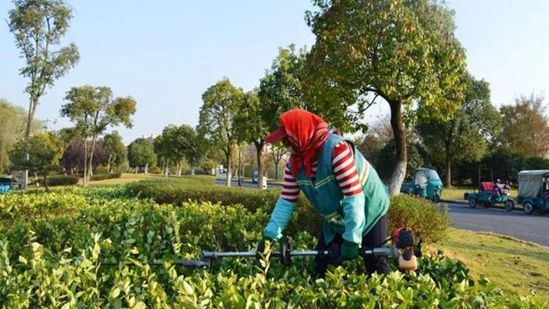 高尔夫球场绿化养护设备：如何科学选择与维护**