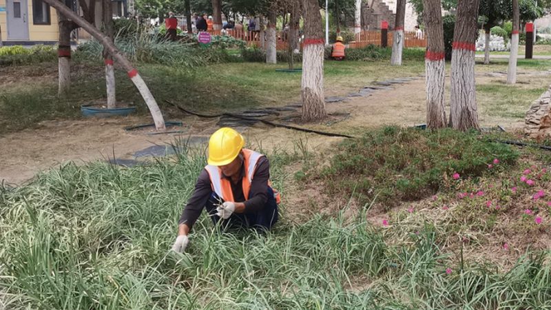 新中式别墅花园设计软件推荐