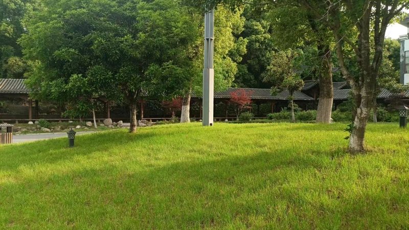 草坪铺设沙土配比计算方法：关键步骤与注意事项