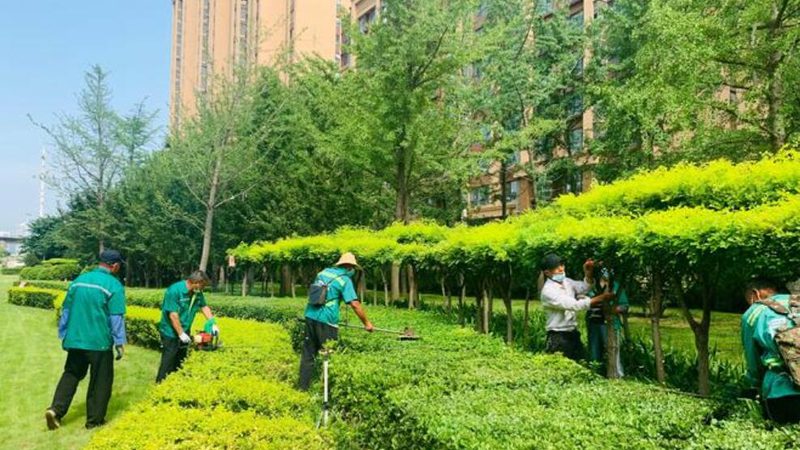 绿化土建工程技术参数：关键指标与标准解读**